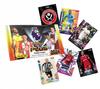 Panini Premier League 2024 plus Adrenalyn Dose Beutel 25 Karten / limitiert