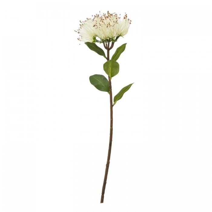 Hill Interiors Protea Nitida Stem Artificial Plant