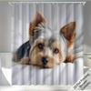 (2D Flat Printing) 1pc, Cute Yorkshire Terrier Dog Shower Curtain Bathroom Curtain with 12 Hooks Machine Washable All Seasons