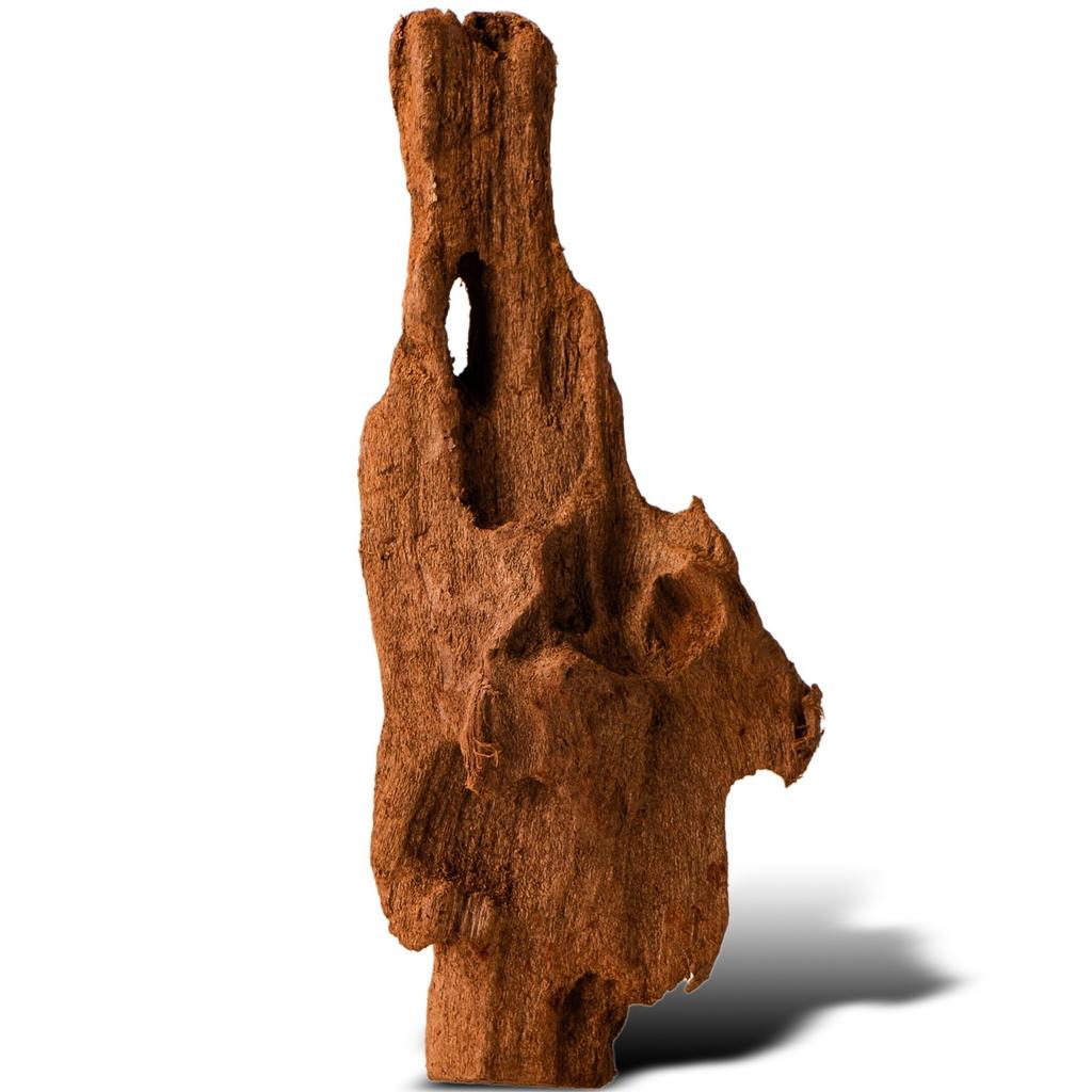 Driftwood Root Natural Xxs 10Cm Freshwater Plant Aquarium