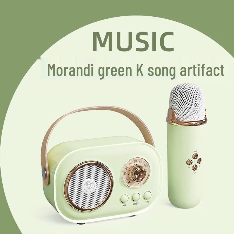 Wanwu C20 PLUS Retro Wireless Karaoke Bluetooth Speaker