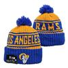 Lion Rugby Knit Hat, Dolphin Outdoor Warm Sun Hat, 49ers Hip Hop Ear Protection Hat