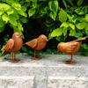 Jardinagem e paisagismo – Decoração de jardim