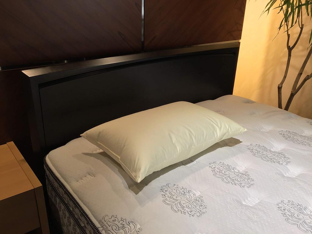 Sealy Pillow Down Pillow 350 White 45cmx65cmx15cm Feather DP350 [Genuine]
