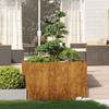 VidaXL Jardinière rouillé 120x80x80 cm acier inoxydable, pot de fleurs, support de plantes, lit surélevé, support de 860793