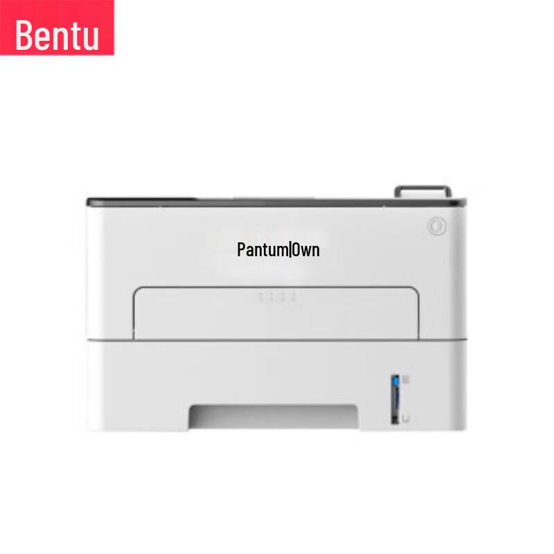 Pantum A4 Laser Printers CN plug (adapter included)