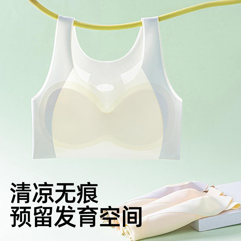Youth Development Period Breathable and Seamless Comfortable Gathering Fixed Anti-sagging No Steel Ring Shock-proof Vest Bra