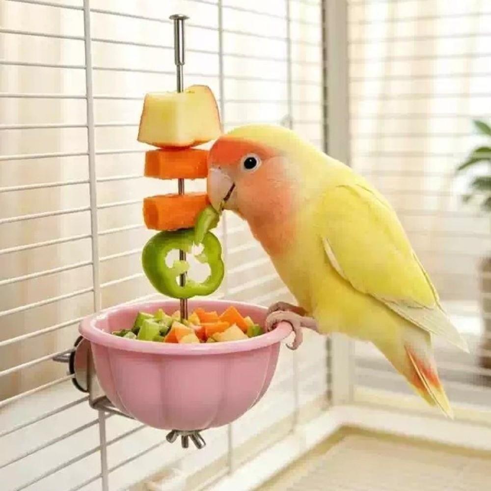 Anti-Splash Parrot Fruit and Vegetable Rack Removable Bird Fruit Holder Bird Cage