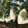 100pcs Grape Protection Bag Fruit Grow Bags Netting Mesh Vegetable Plant Protection Bags For Pest Control Anti-Bird Garden Tools