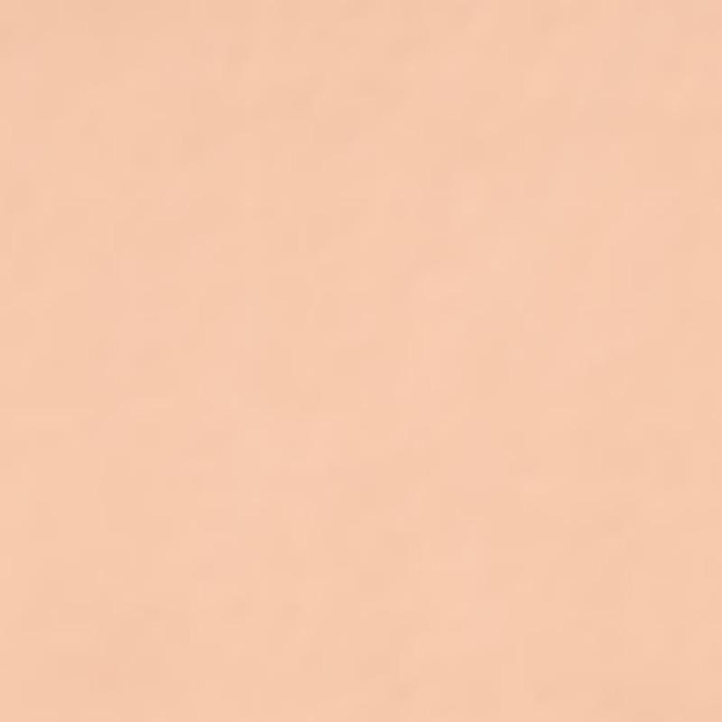 SKINFOOD Salmon Darkcircle Concealer 10g (Shade Options Available)