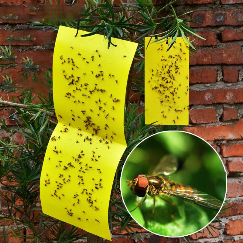 Outdoor Yellow Sticky Glue Flying Pest Insect Papers Traps Catchers Bugs 1//5PCS