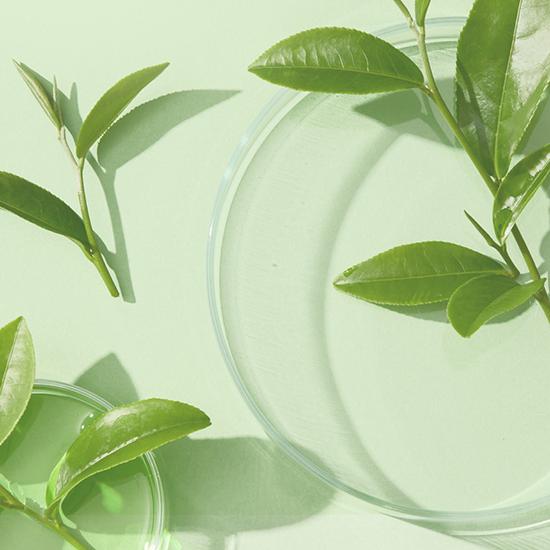 DR.ALTHEA Jemné sérum s vitamínem C 30 ml