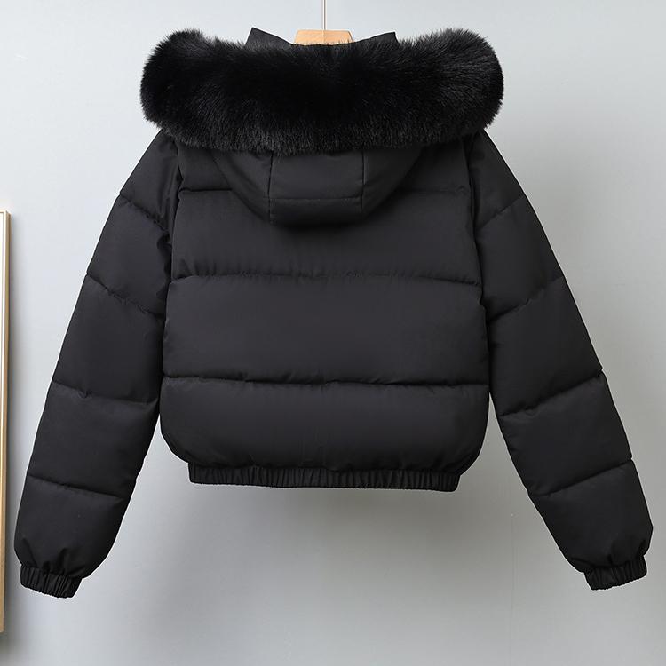 Winter Short Parkas Women's Padded Clothes Add Velvet Thicken Outerwear Fur Collar Removable Hooded Coats Warm Jackets