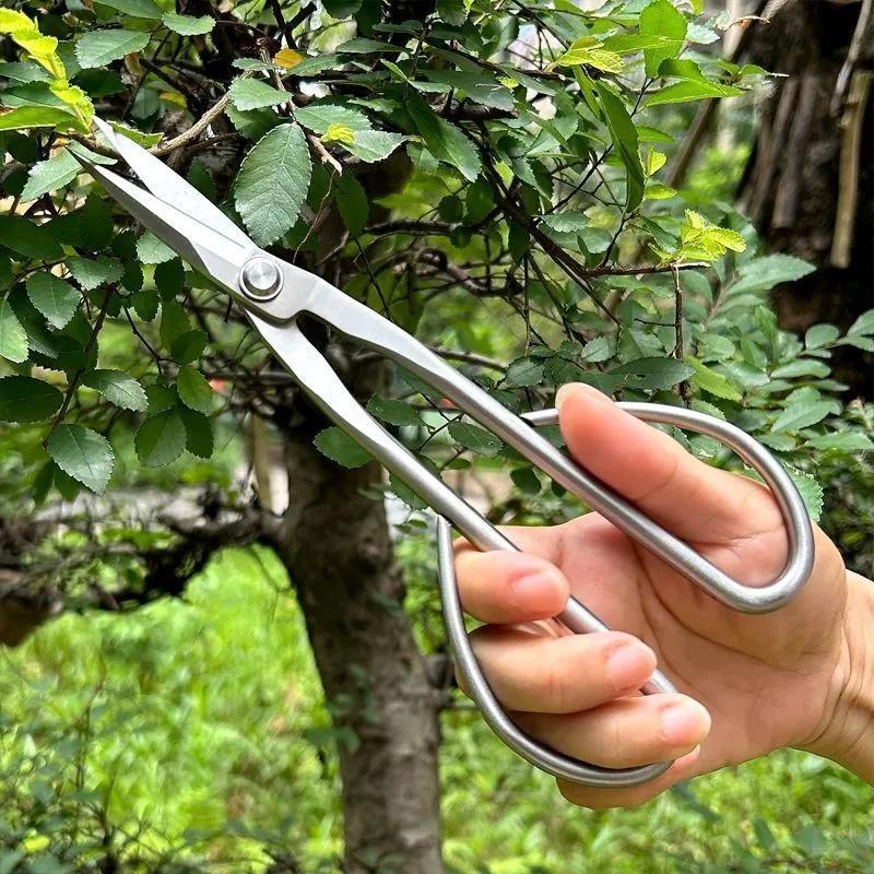 

Stainless Steel Floral Scissors for Bonsai and Pruning