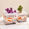Desktop Aquarium Square Fish Bowl with Plant Holder Mini Eco Fish Tank Table Aquascaping Set for Office Home Decor Hydroponics