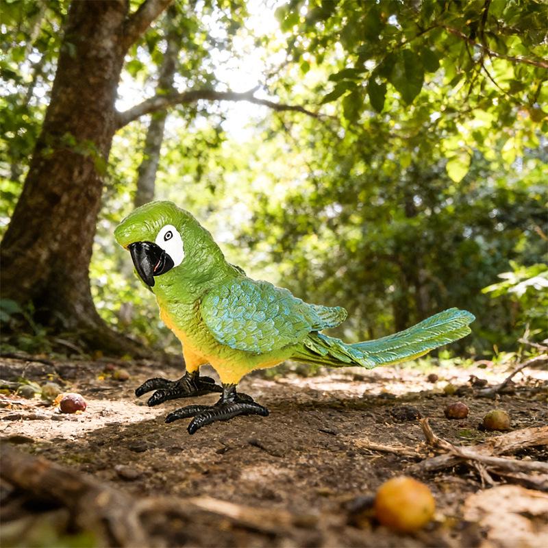 Wild Animal Simulation: Flying Parrot & Peacock Model Toy Ornament for Kids