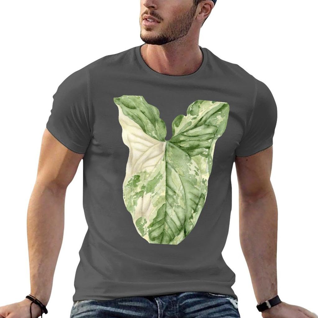 Syngonium Albo Variegata Tshirt Unisex T Shirt Cotton High Quality Essential T Shirt Anime T Shirts Oversize Tshirt