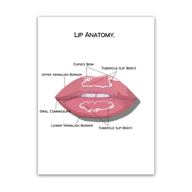 The Body Facial Anatomy Muscle Vessels Detailed Canvas Painting Human Structure Skeleton Education Poster Medical Decoracion