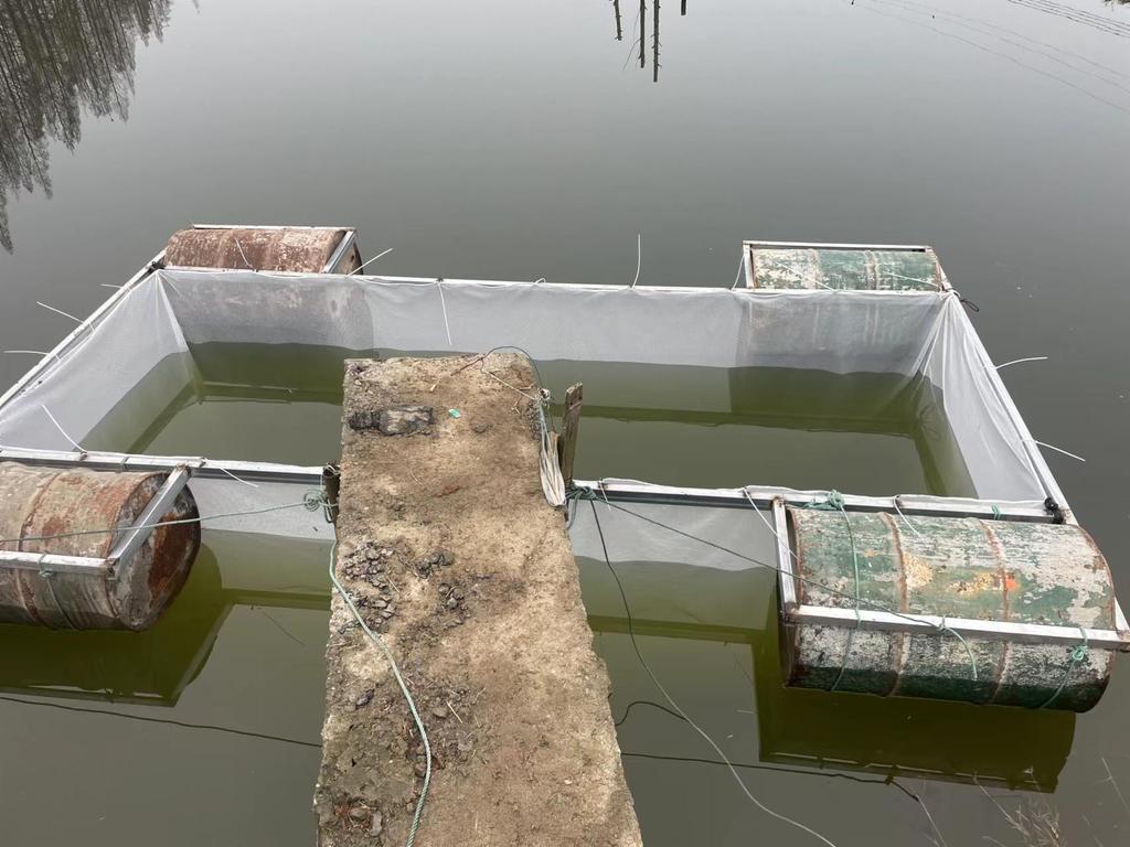 Nylon Hexagonal Mesh Fish Fry Nursery Box - Knotless Design for Aquaculture