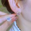 Sweet Temperament, Purple Ear Buckle Earrings, New Style, Versatile for Daily Commuting, Compact and Exquisite Earrings and Earrings