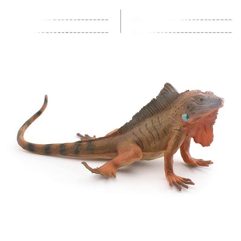 Amphibian Lizard And Reptile Model Pvc Static Figures For Kids Use Educational