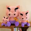 New Crayon Xiaoxin Zuowei Pig Plush Toy Doll Children's Birthday Gift Ragdoll Doll Pillow