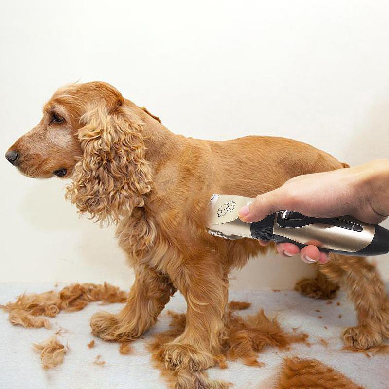 Professional Rechargeable Pet Shaver Kit Ceramic Blade Low Noise Dog Cat Hair Trimmer With 4 Limit Combs