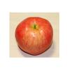 GuCra Set Realistico di Modelli di Cibo e Frutta Mele, Modelli, 2, Campioni, (Grande)