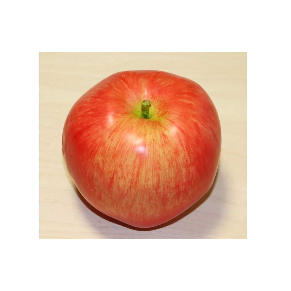 GuCra Set Realistico di Modelli di Cibo e Frutta Mele, Modelli, 2, Campioni, (Grande)