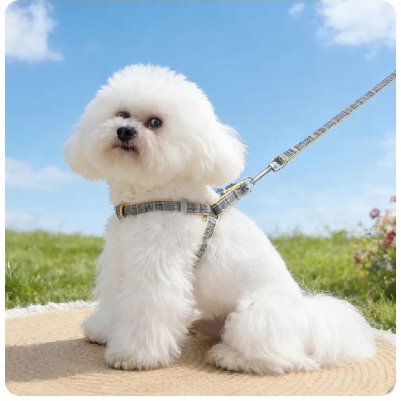 Pet Dog Chest and Back Traction Rope Y-shaped Chest Strap Vest Style Dog Walking Rope Teddy Bear Shiba Inu Vest Dog Rope Set