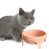 Yousheng Bol pentru animale de companie Recipient de hrană pentru câini de mare capacitate cu bază anti-alunecare Design înalt Bol pentru băut apă pentru animale de companie mici
