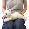 Sun Lemon Lap Cat Plush Toy Small White Odd Eyes