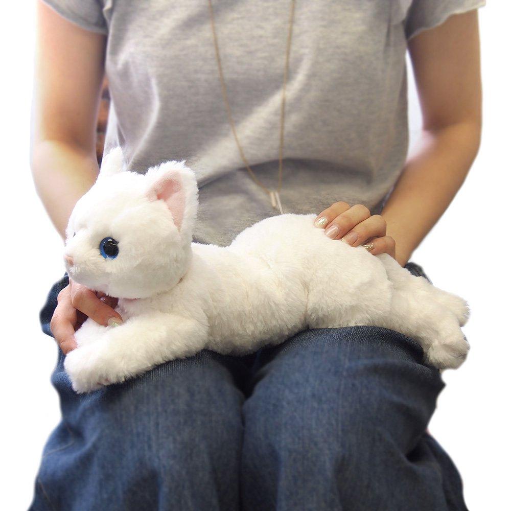Sun Lemon Lap Cat Plush Toy Small White Odd Eyes