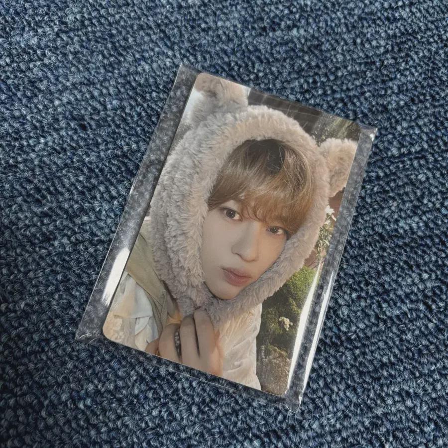 

Nct Wish Japan Fanclub Photocard Batch