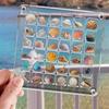 Acrylic  Seashell Display Box Seashell Display Diamond Storage Box Small Craft Organizers Compartment