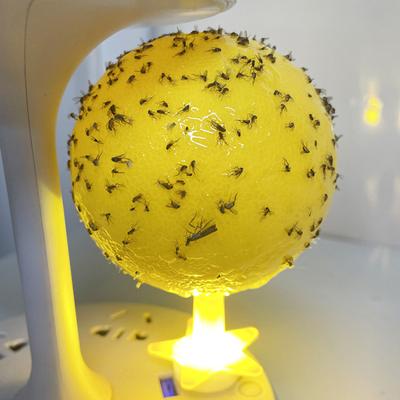 Yousheng Klebrige Fliegenfalle Ball mit Basis Leuchtend Stark Klebend Innen Außen Restaurant Küche Kleine Fliegende Tiere Fangen Mücken Fruchtfliege