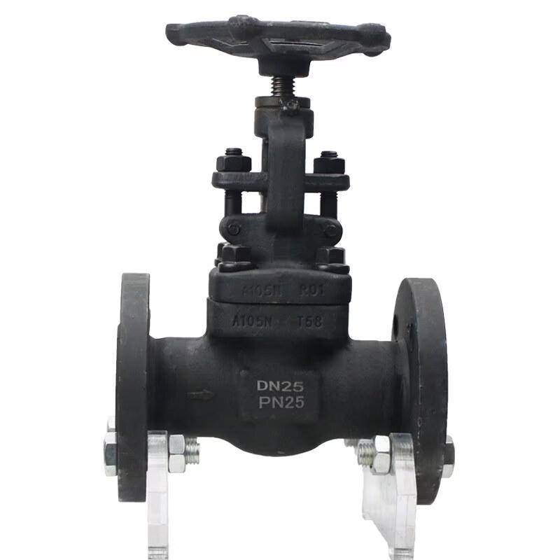 

Yun Duo Forged Steel Flange Globe Valve