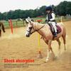 Comfortable Protective Horse Riding Training Safety Vest for Boys Girls Children Kids Protective Riding Vest