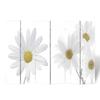 VidaXL Folding Room Divider 217x170 Cm Flower