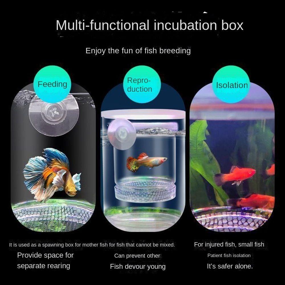 Plastic Aquarium Isolation Box Detachable Fish Tank Incubator Spawning Room