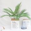 Areca Palm Artificial Simulation Plants for Home, Wedding, and Photography Decor