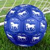 Town Football Club Crest Printed Size 5 Soccer Balls, High-Quality, Anti-Slip, Protective Football, A Unique Gift , Birthdays, Christmas Gifts