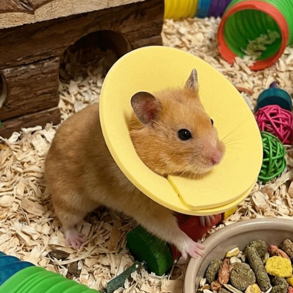Coleira Anti-Lambedura Ajustável Coleira Protetora Anti-Mordida para Pássaro Hamster Coelho