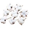 10/20Pcs Artificial Flowers Hot Sale Cotton Balls Christmas Decoration Photograph Prop Wreath Wedding Holding Home Diy Accessory