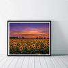 5D DIY Diamond Painting Sunflower Field Cross Stitch Kit Mosaic Diamond Embroidery  Full Round Square Drill Home Decoration
