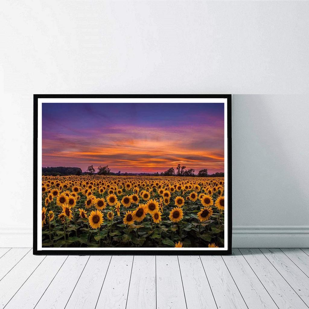 5D DIY Diamond Painting Sunflower Field Cross Stitch Kit Mosaic Diamond Embroidery  Full Round Square Drill Home Decoration