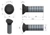 Screw Set. Redliczkowa Semi-circular M10X35 Mm Kl. 8.8 Waryński ( Sold In 25s )