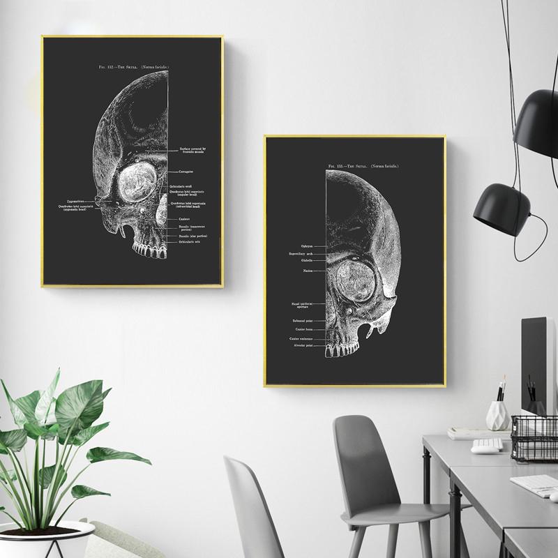 Anatomy Muscle Bone Black and White Canvas Painting Skeleton Organ Wall Art Modern Pictures Posters for Doctor Office Home Decor