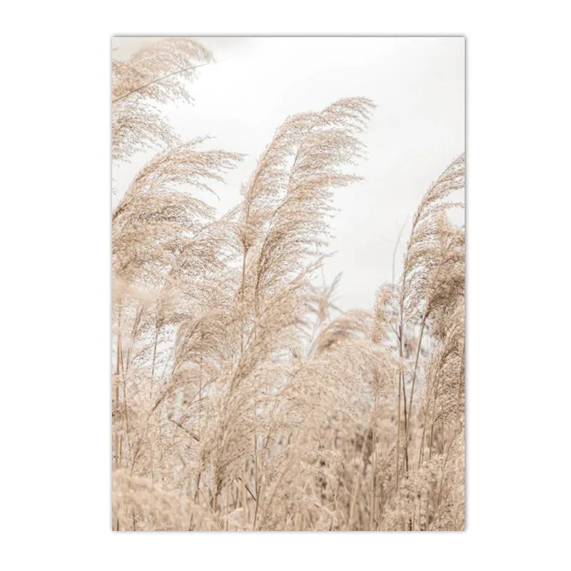 

Морская звезда, тростниковый цветок, одуванчик, сушеная трава, настенная живопись на холсте, постеры на скандинавскую тему и принты, фотографии, домашний декор для гостиной 21x30cm No Framed
