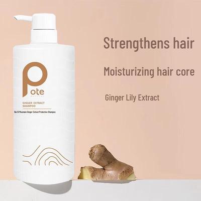 Bo Tai Ingwer-Extrakt Shampoo